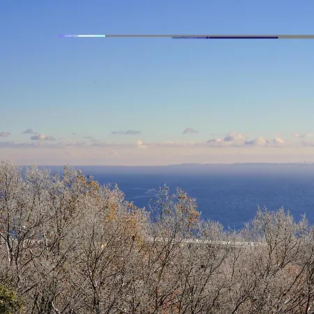 Seerobbe アパート